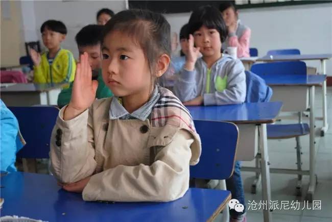 沧州派尼幼儿园学费,派尼幼儿园学费