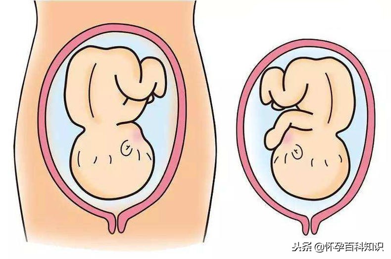 第一次胎动是什么样的感觉,宝宝第一次胎动是什么感觉