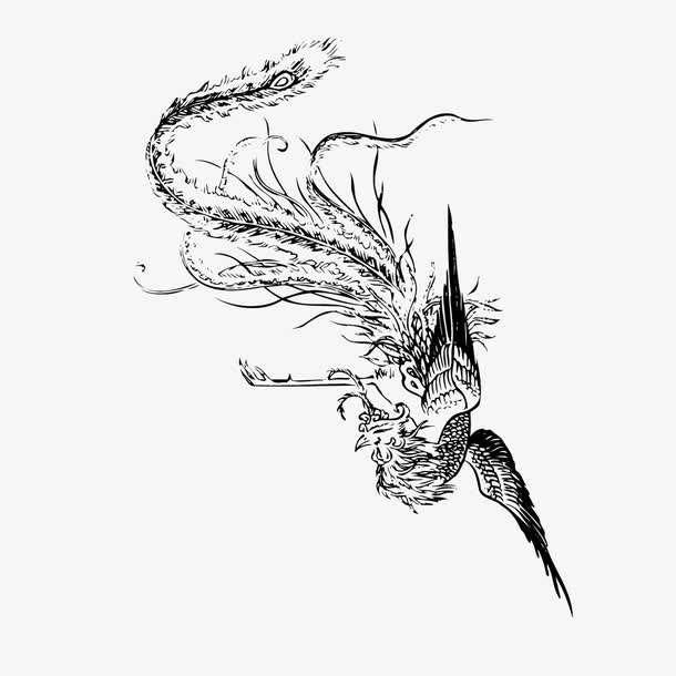 怎样画一个凤凰,怎么画个凤凰