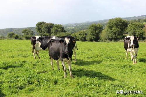 圣元奶粉质检标准,圣元天使奶粉质量怎么样