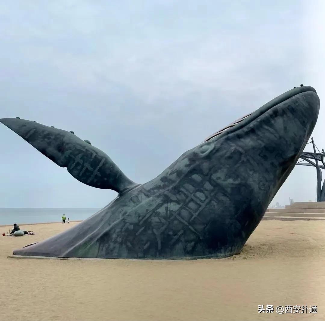 青岛烟台威海玩海攻略,青岛威海烟台大连环线旅游攻略