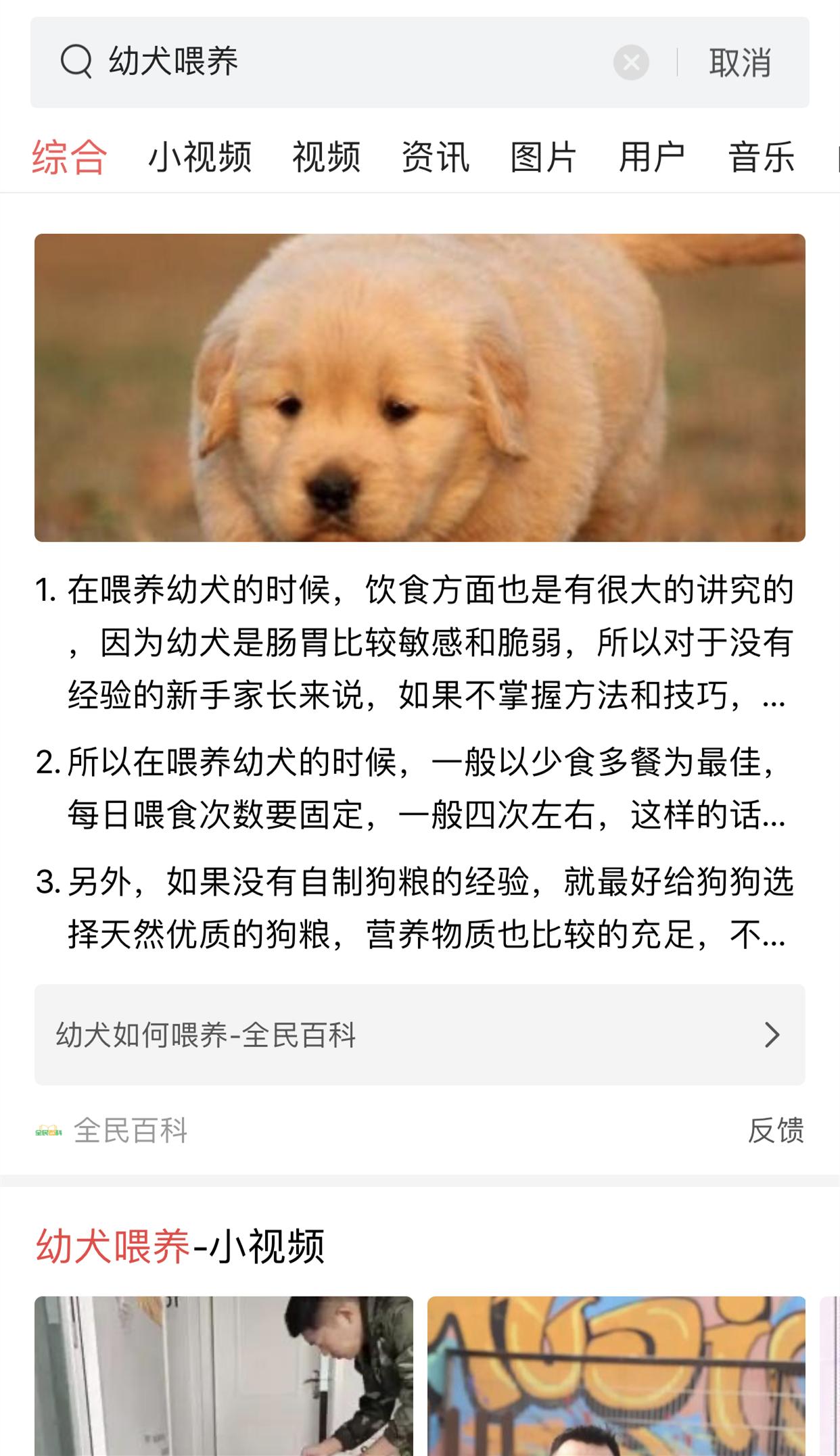 如何改善狗狗“懦弱”的性格？得在它们小的时候就要重视