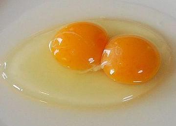 蛋的结构是什么,蛋的结构示意图