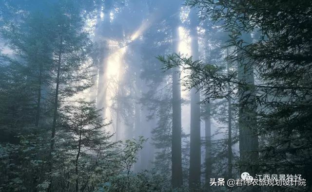 走遍江西100个县抚州,走遍江西100县铅山
