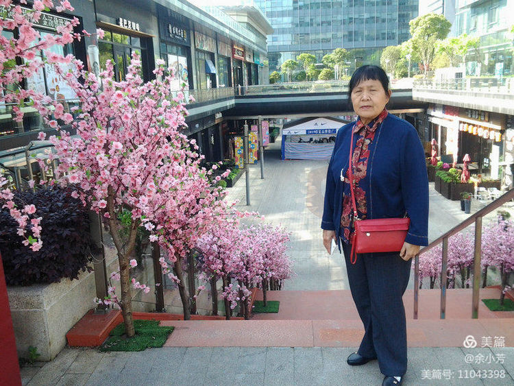 上海新国际博览中心延期,上海新国际博览中心在哪