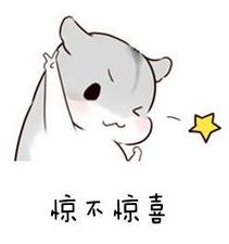 最全iphone拍照功能使用技巧,iphone最近流行的拍照手法