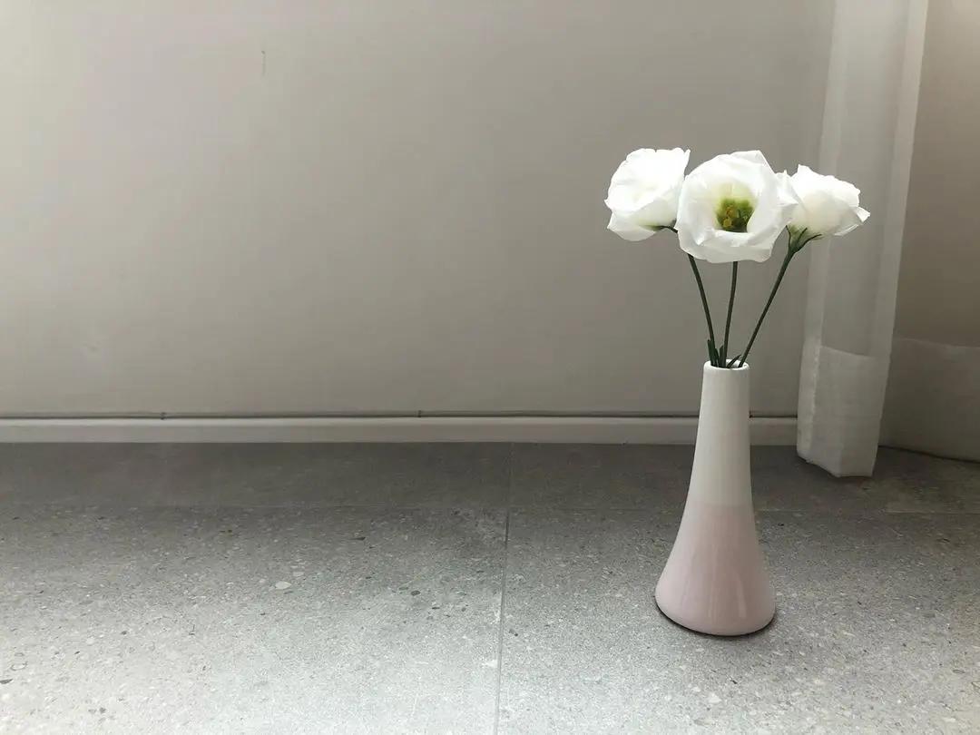 李光洙韩孝周最新综艺,李光洙最新参加的综艺