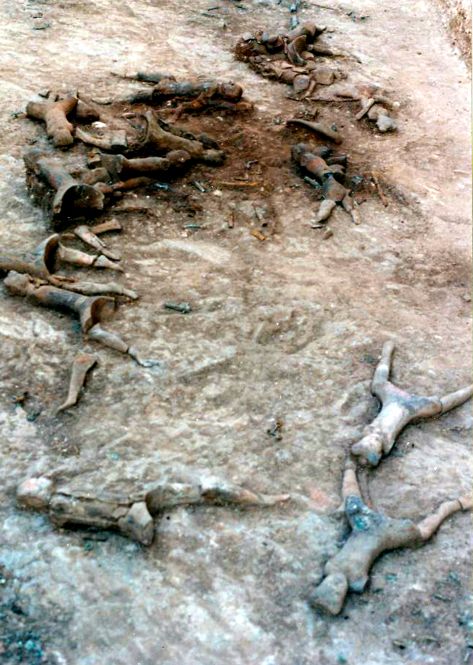 芒砀山汉墓出土文物,芒砀山汉墓发掘全过程