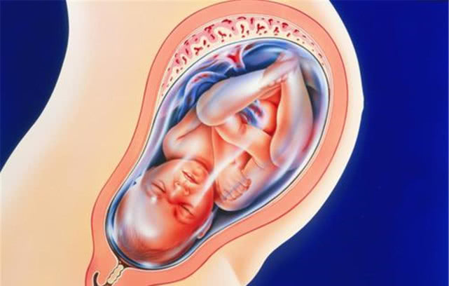 孕期最后一个月，不仅妈妈紧张，宝宝为了见面也忙得不可开交