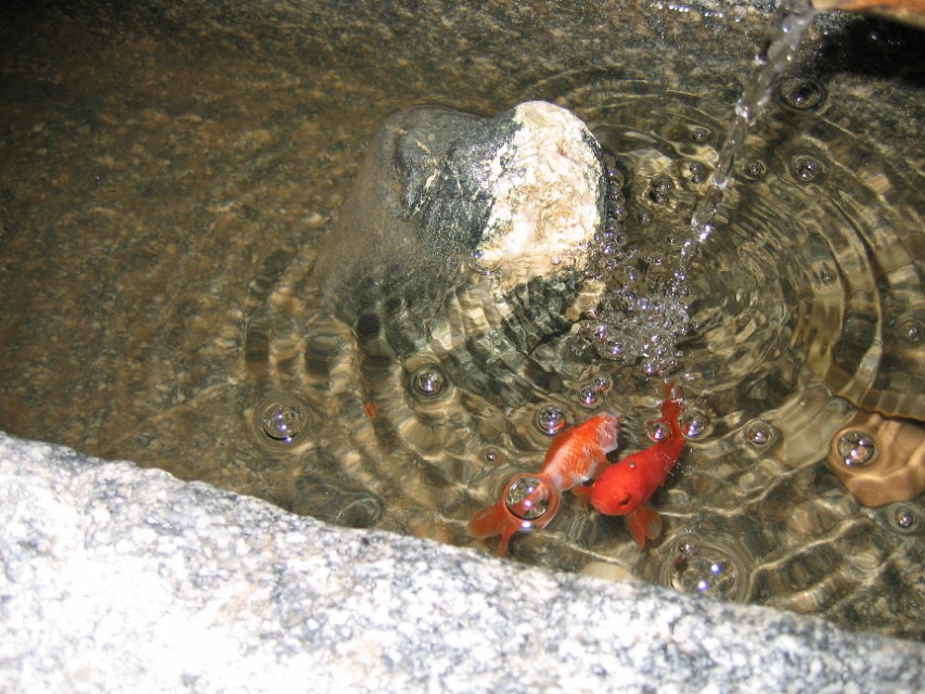 我爱我家之露台花园全景,我爱我家之乡土篇