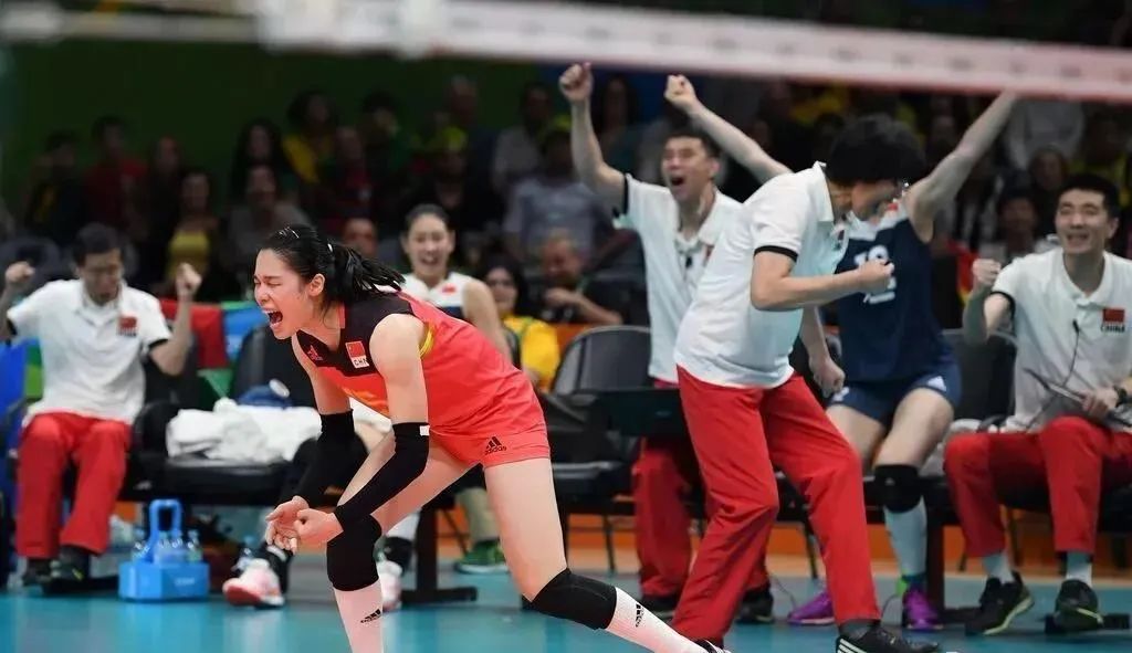 奥运会运动员身材排名,奥运健儿全体合照图