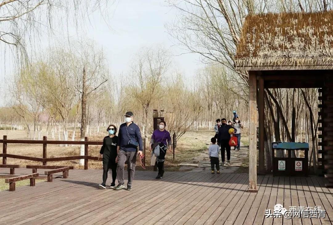 天津2022哪些公园恢复开放,天津临港亲海公园什么时候开放