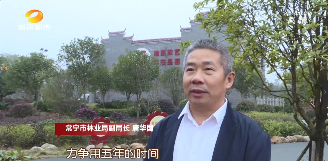 湘村发现|湖南这个地方有好东西，“淌金流银”！