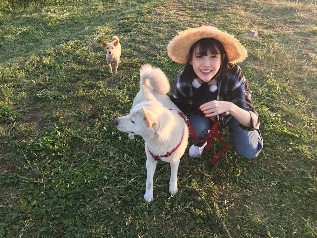 除了《乘风破浪的姐姐》，不出门的日子你也可以看看这些神仙综艺