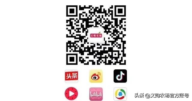 桃子价格暴跌,桃子价格28一斤