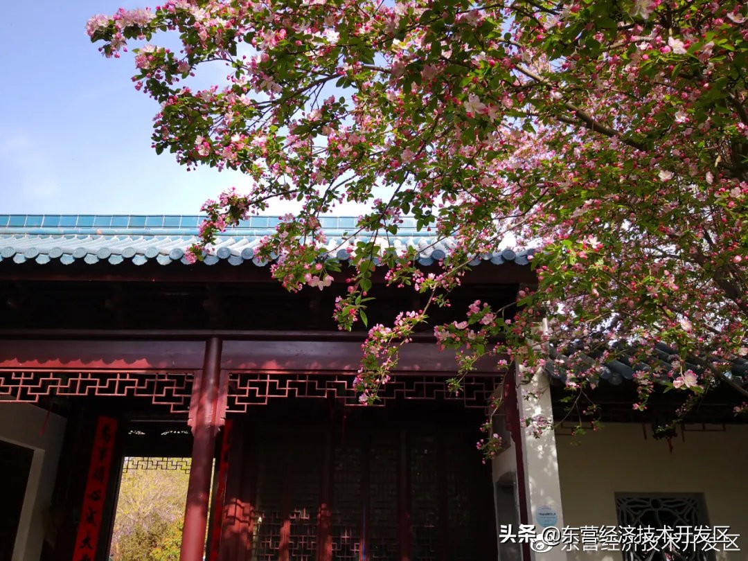 来开发区必去的地方,开发区秋季美好的风景