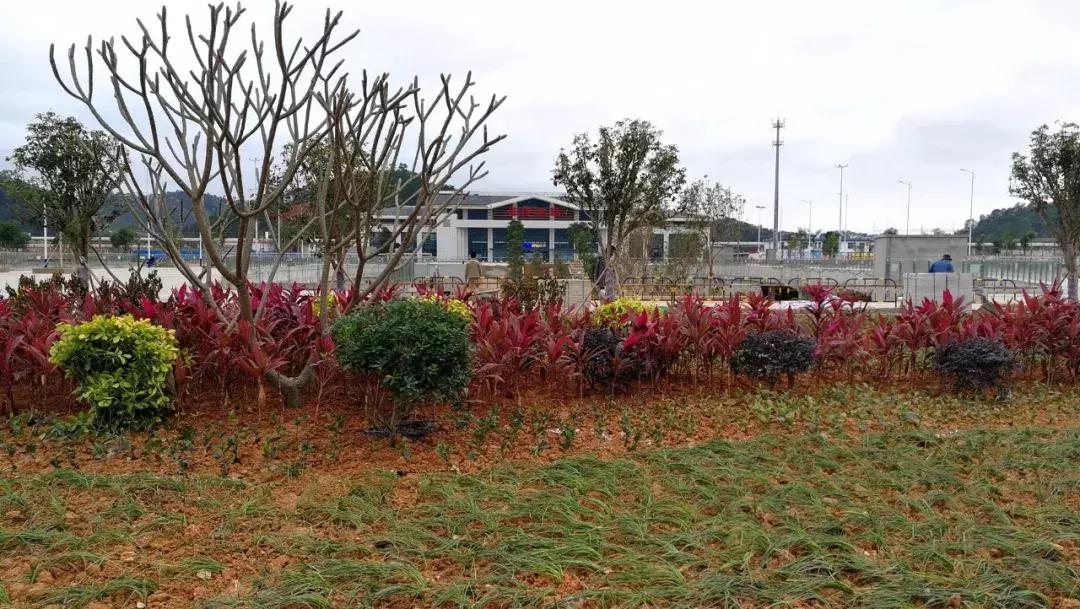 云浮高铁东站什么时候开通,高铁云浮东站