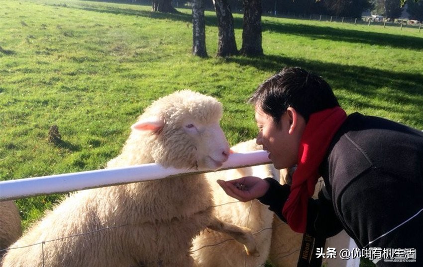 旅行达人整理的特价机票攻略,旅游出行机票省钱干货