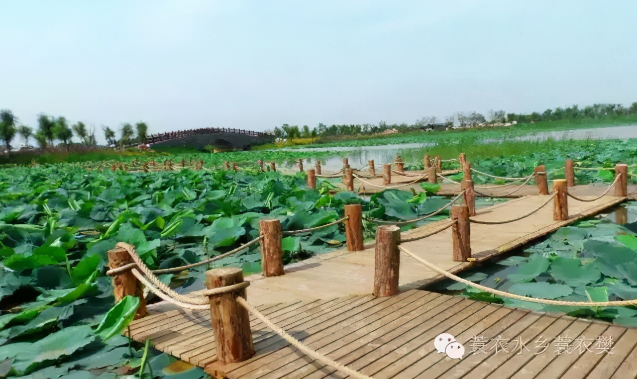 淄博市适合自驾游的美丽小村庄,淄博理想小镇在哪里建的