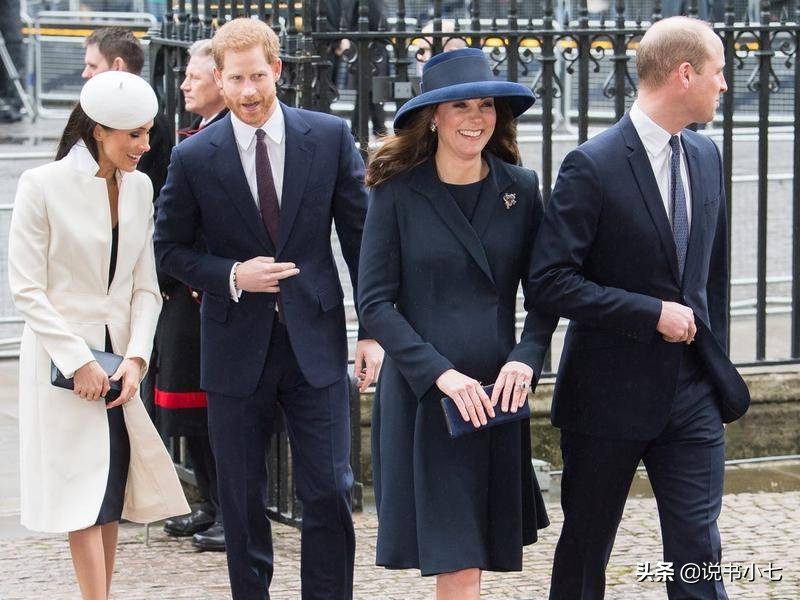 哈里王子梅根回王室,哈里王子回英国纪念戴安娜