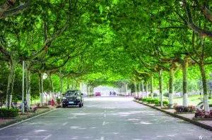 南师大马拉松,南京师范大学马拉松直播