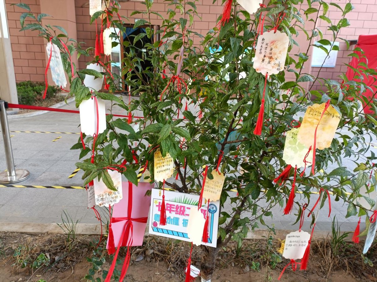 “恩师掬取天池水，洒向人间育英才”弘毅中学庆祝教师节主题活动