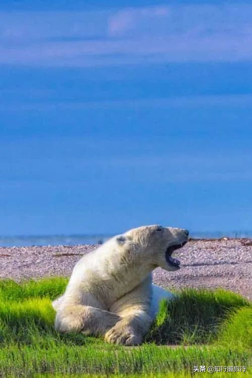 加拿大旅行41个最佳标志性景区目的地推荐攻略