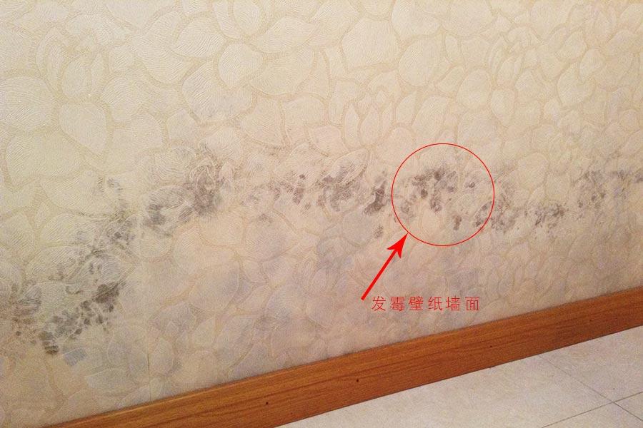 墙布修补后如何防止发霉,防水防潮发霉用墙布还是墙板