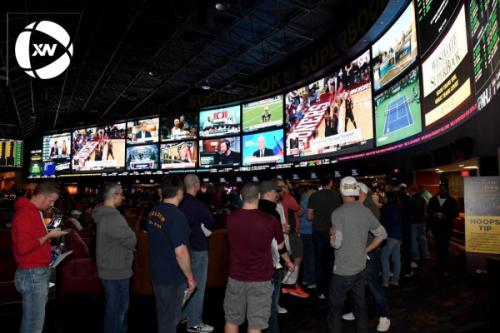 鍏存椇浣撹偛娌冲彛,娌冲彛鍏存椇浣撹偛