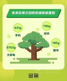 闲鱼：回收业务一年减碳超4000吨，可种植22万棵梭梭树
