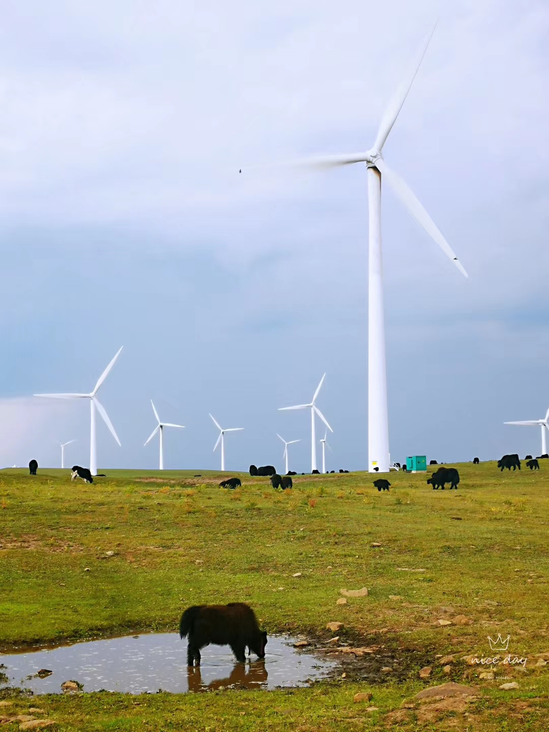 乌兰布统和红松洼哪个更值得去,辽宁乌兰布统草原旅游