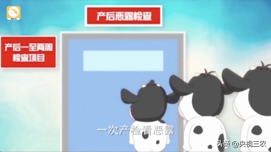 牛粪别扔，这么处理还有国家补贴