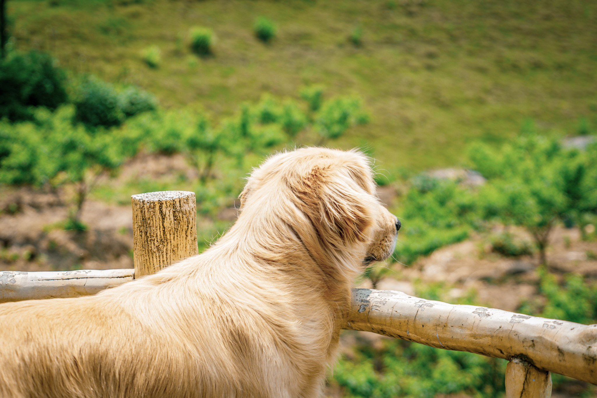 郴州仰天湖民宿多少钱一晚,郴州民宿一晚多少钱