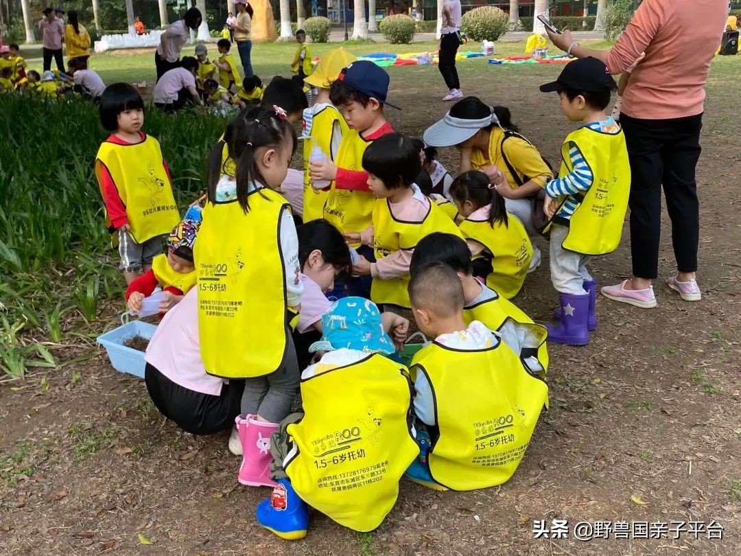 东莞早教培训机构排行榜,东莞早教班哪家早教中心比较好