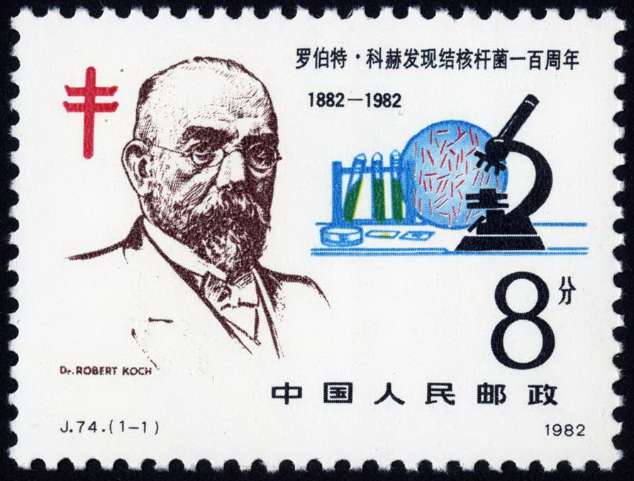 日本一年传染病死亡多少人,一个流感病毒让多少人丧生