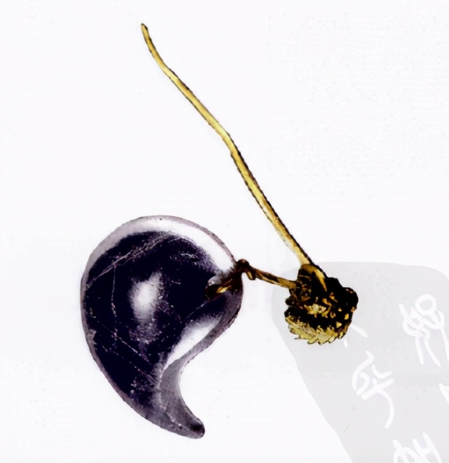 她这段有争议的沐浴戏，意味着什么