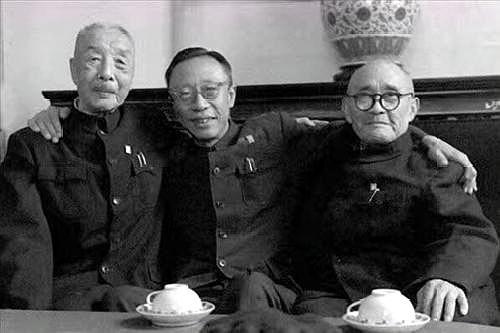 打不死的小强不倒翁,打不死的小强精神好吗