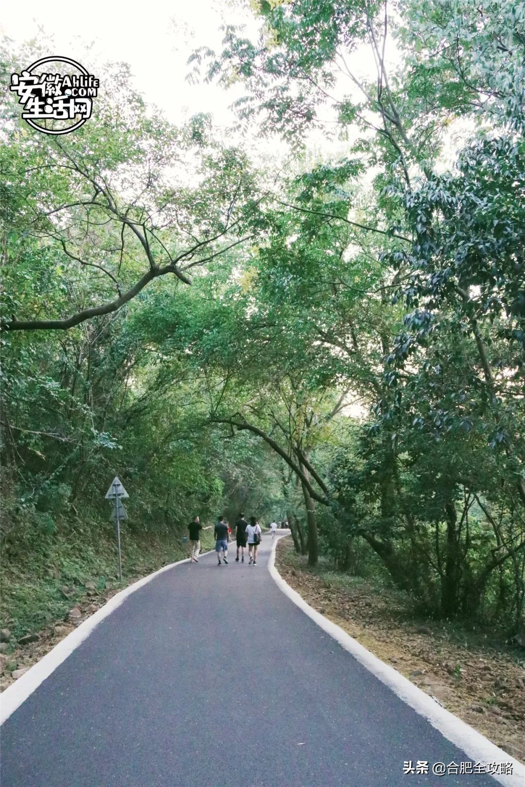 大蜀山,大蜀山的爱情