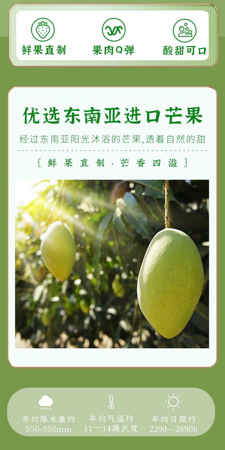 在芒也不放弃,时刻陪伴!芒果干果脯蜜饯OEM