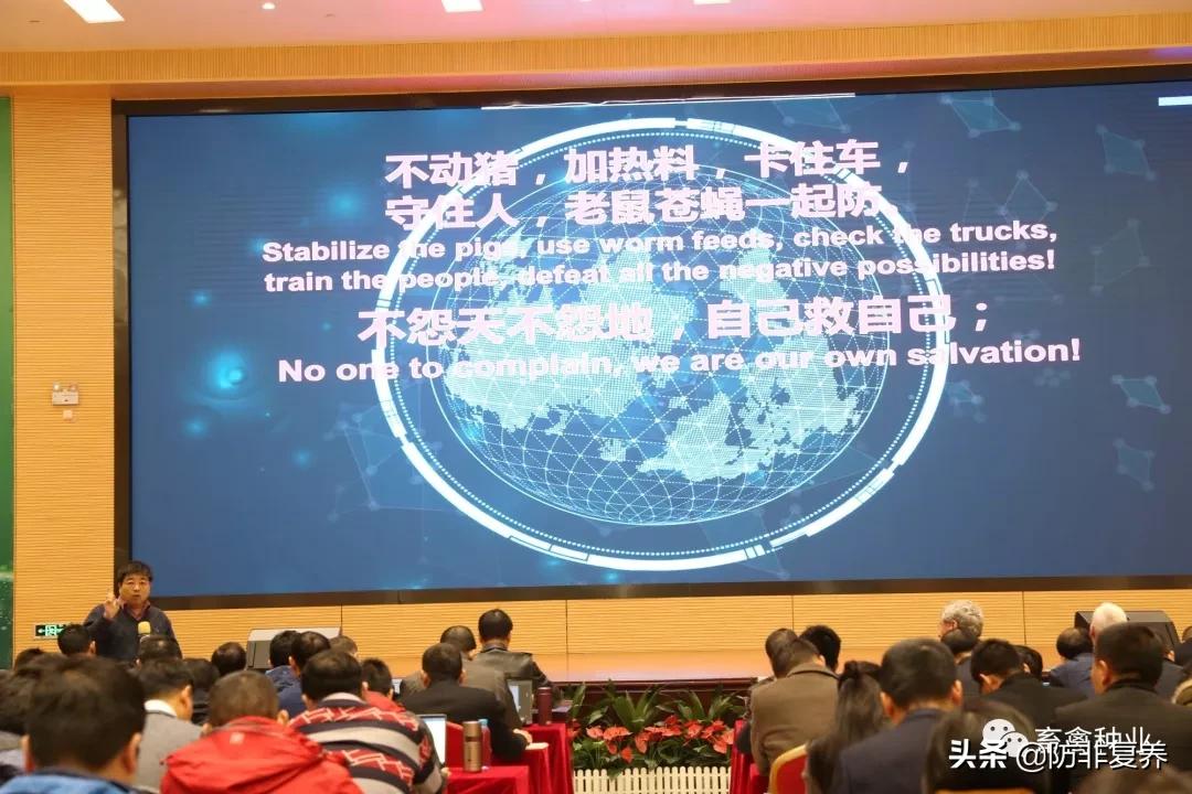 非瘟预防消毒,非瘟防控刻不容缓