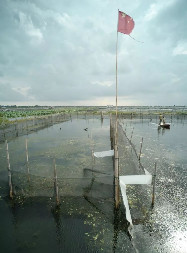 丰收蟹庄秃黄油酱油,丰收蟹庄秃黄油解冻