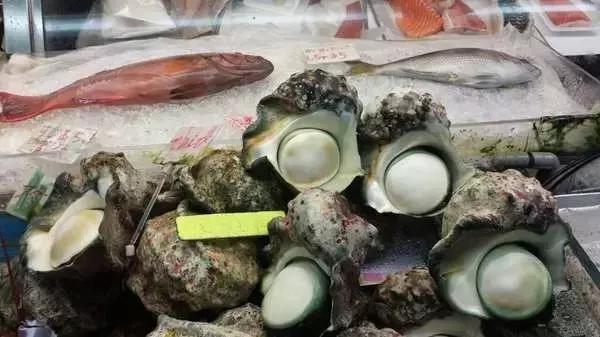 春回大地山清水秀,春回大地感受春的气息