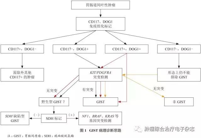 胃肠道间质瘤治疗指南,2017胃肠间质瘤专家共识