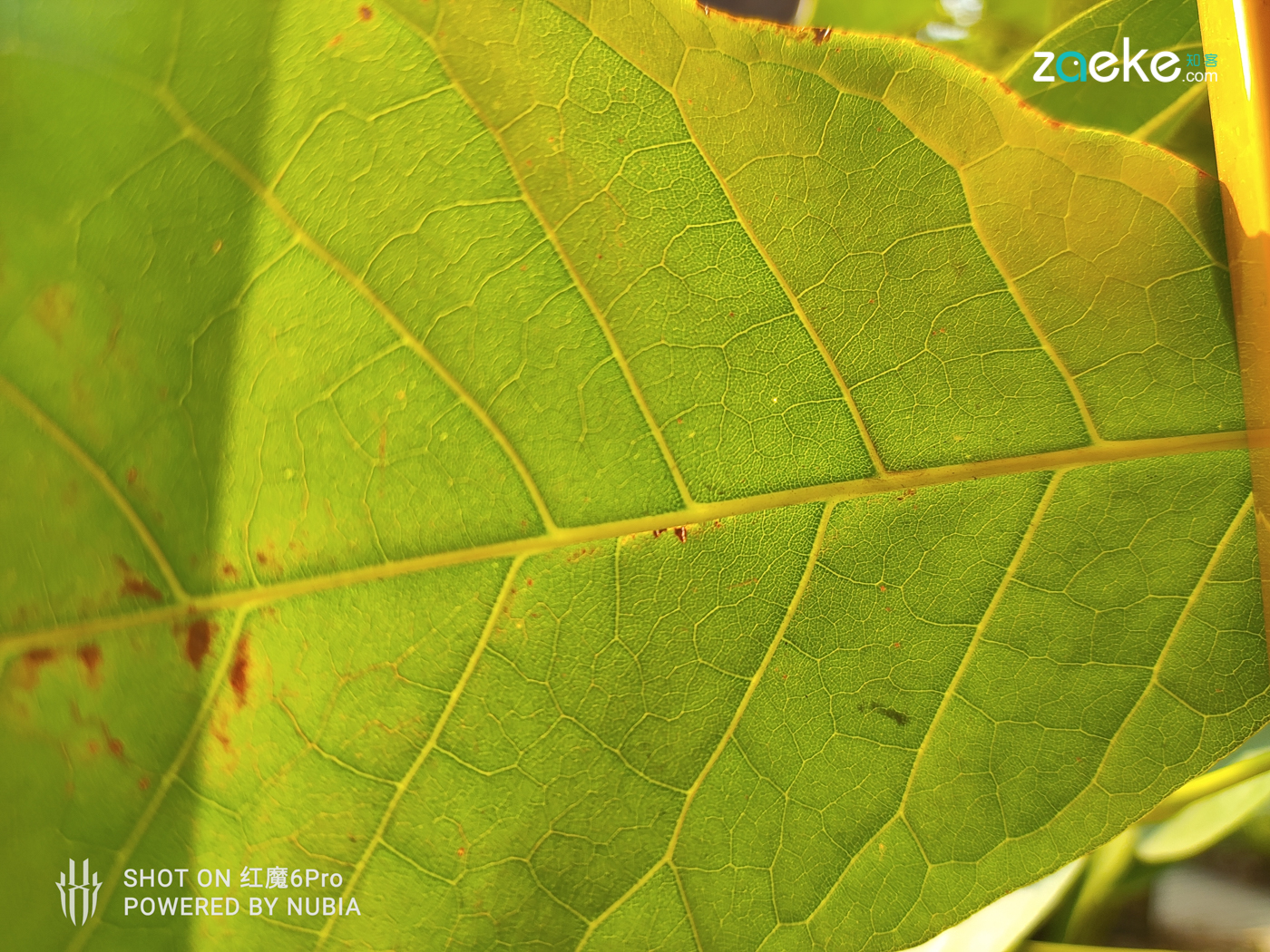 红魔6pro的魅力,红魔6pro的功能