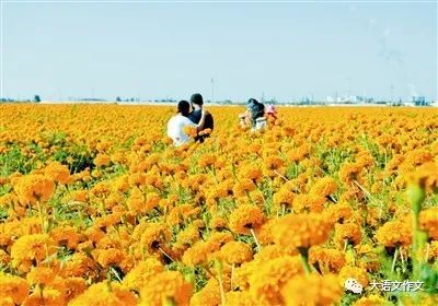 作文小能手优秀作文,习作小能手作文200字