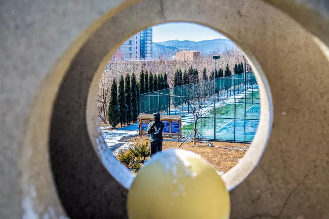 辽宁省民办大学（二）大连东软信息学院