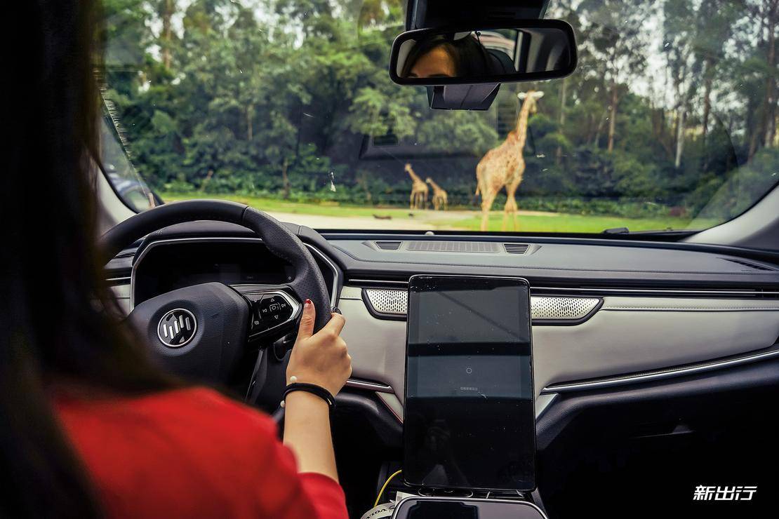 打卡长隆动物园记田妈和威马EX5520的周末