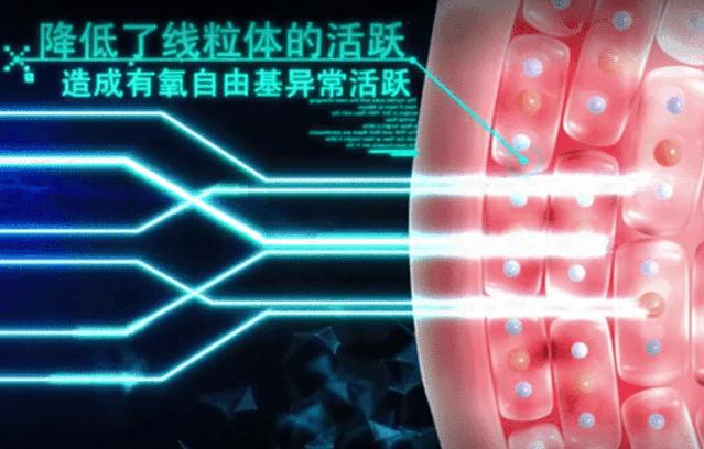 去眼纹去黑眼圈用什么方法,去眼袋黑公认最好用的土方法