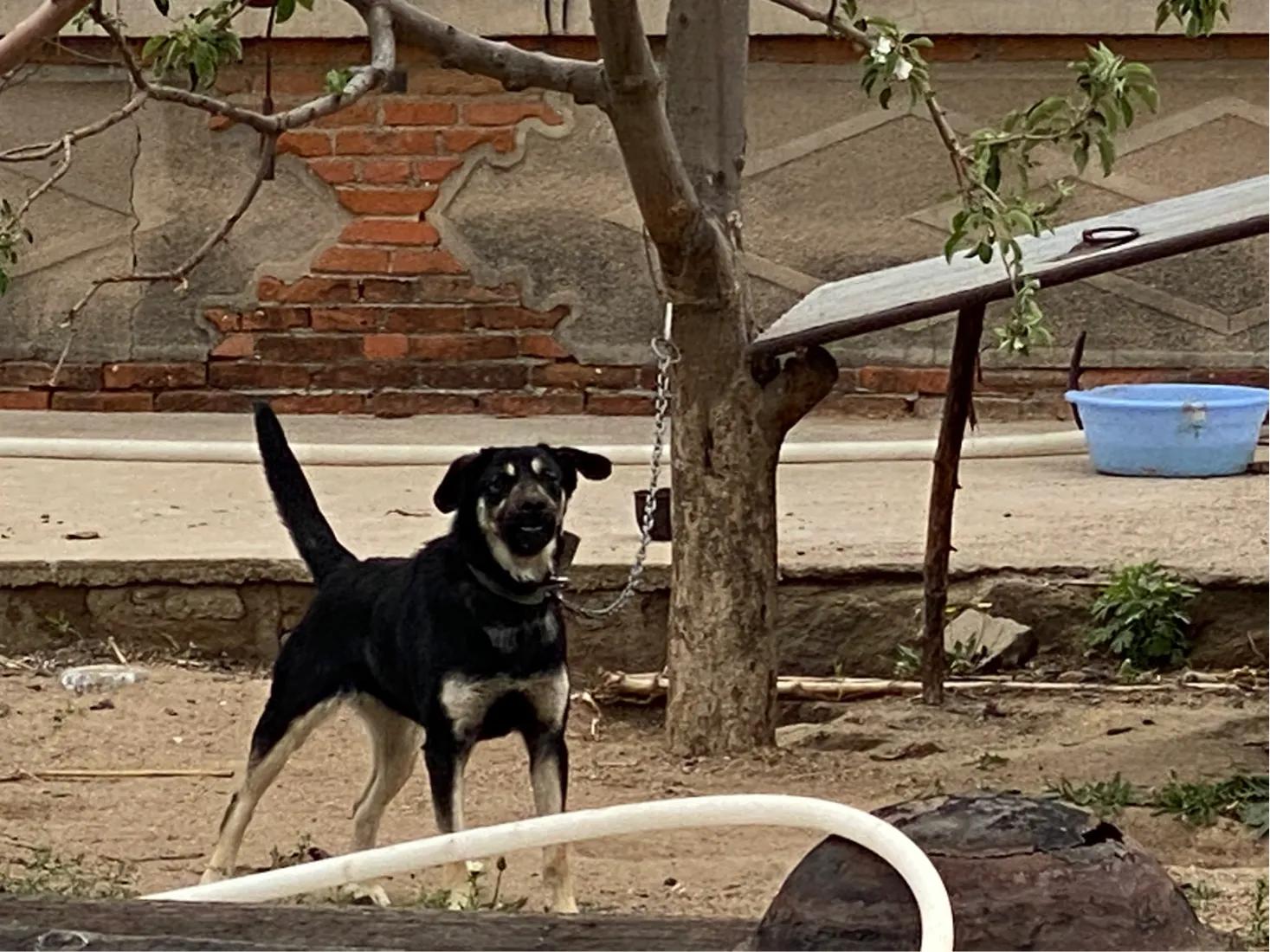 【7/5】30、走进北镇庙后朱屯我家老院