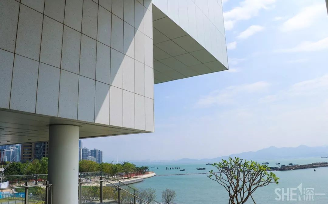 深圳蛇口前世今生,深圳蛇口有怎样的辉煌历史